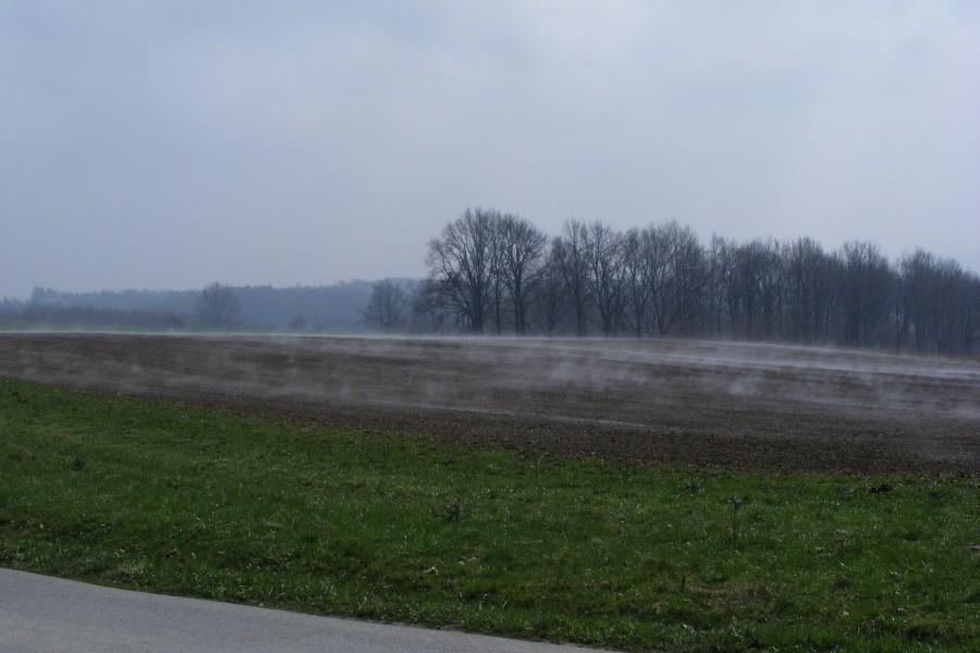 Parujące pole