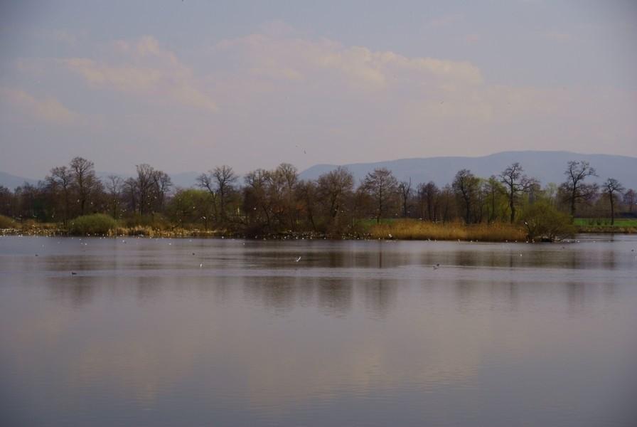 woda i góry