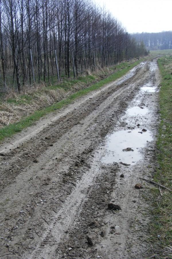 I po tym trzeba było jechać..
