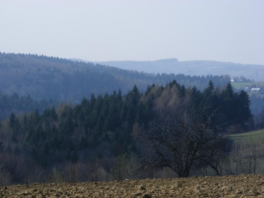 Widok w czasie zjazdu do Straszydla
