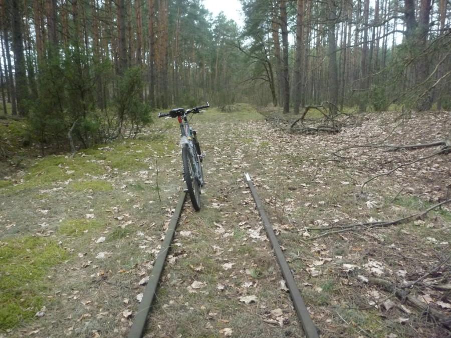 Tory mi się skończyli :-)