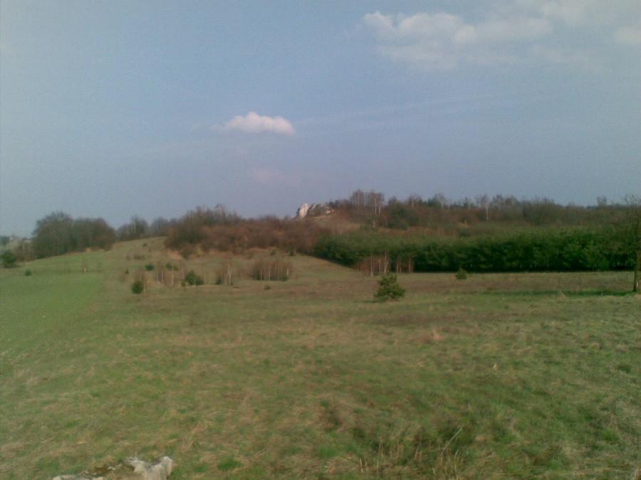 Widok w Towarnych - Lisica