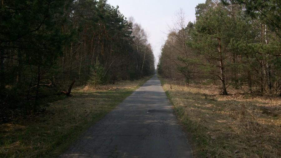 Ulica Gołębska