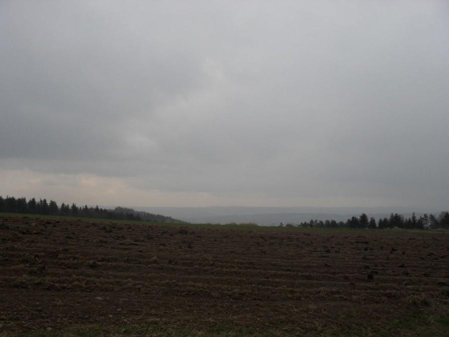 Wzgórza dynowskie