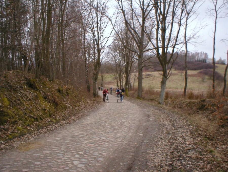 NA TRASIE- ODCINEK SPECJALNY