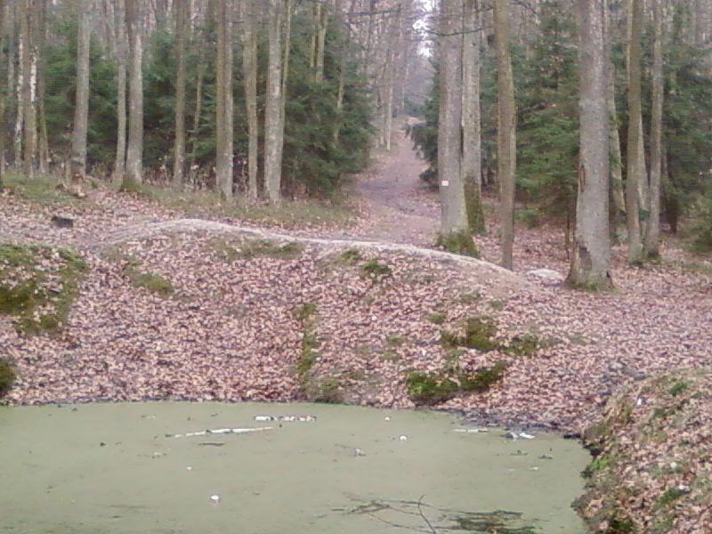 Pierwsza część