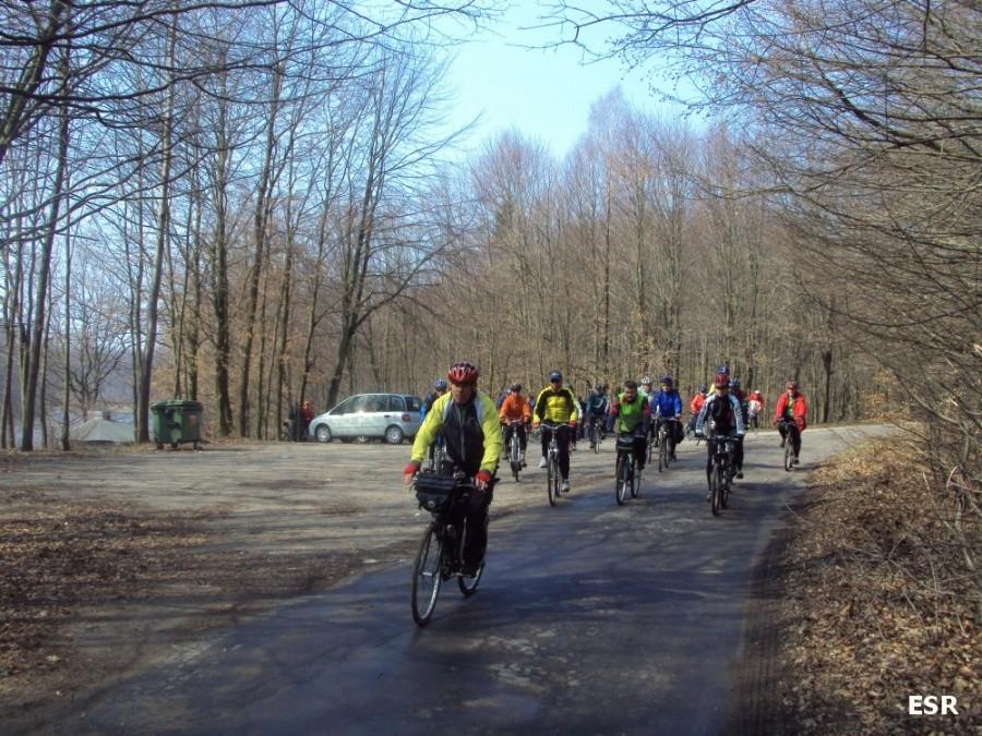 Grupa STOP