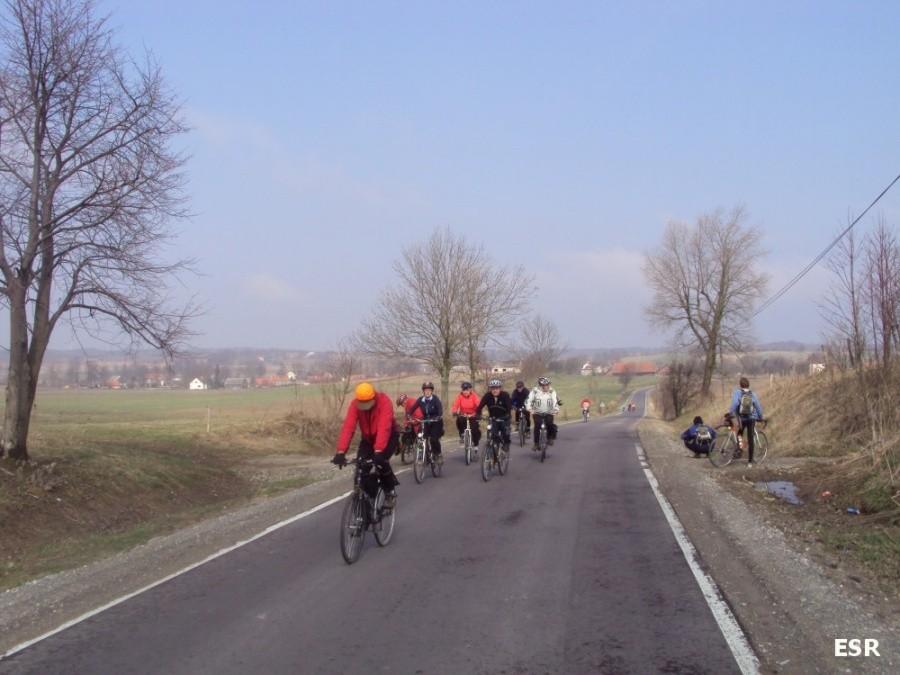 Grupa STOP