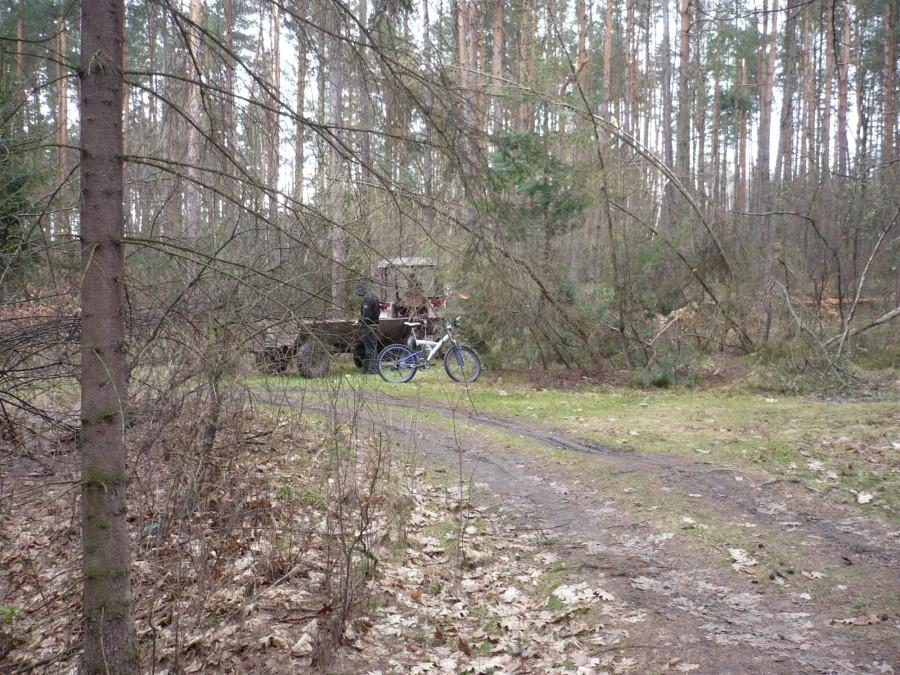 Sędziowie? - Odyseja 2010