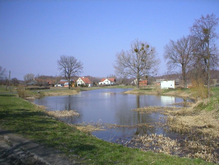 W KARSZEWIE