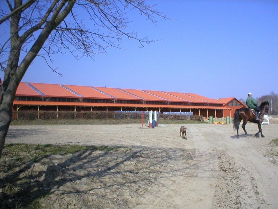 ZASTAWNO-NOWA STADNINA KONI
