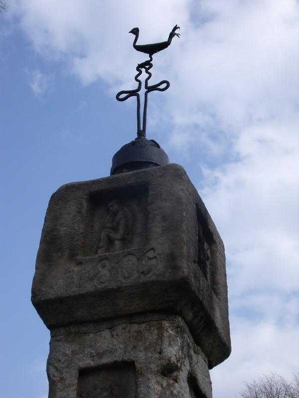 Ptak na krzyżu