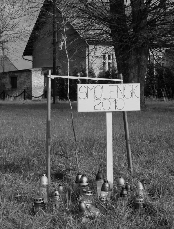 dąb smoleński