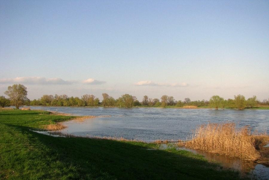 Odra, Oder-Neisse Radweg