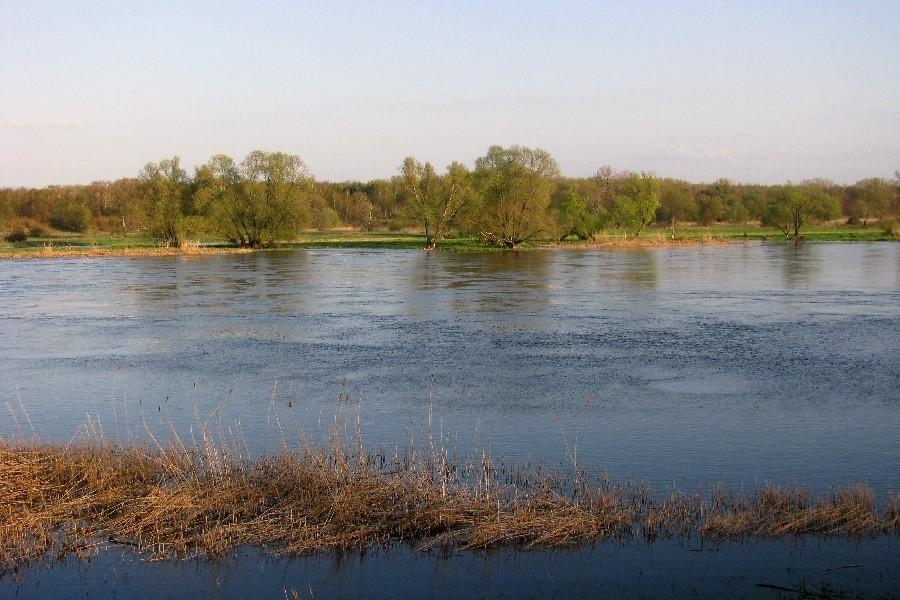 Odra, Oder-Neisse Radweg