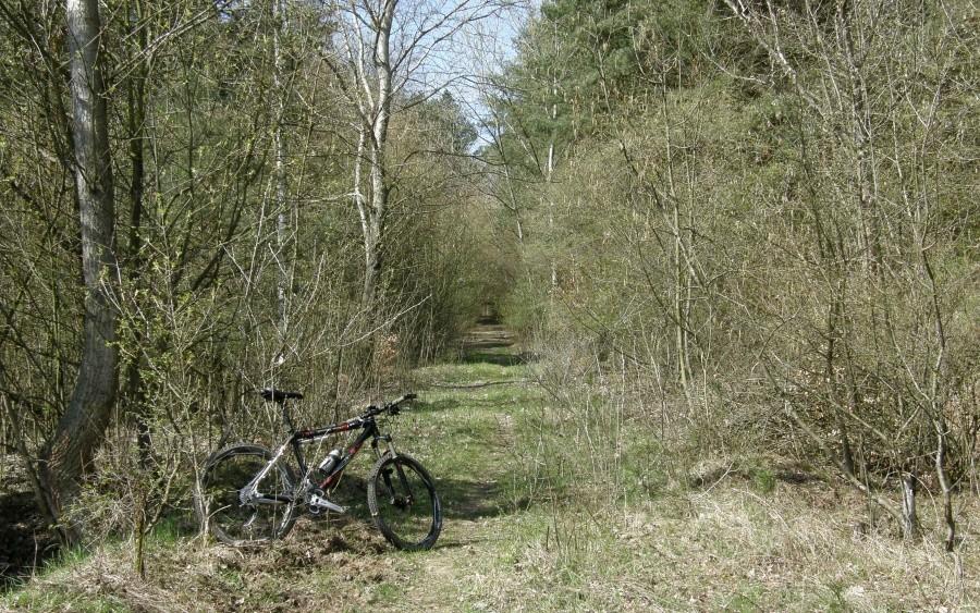 Podjazd na Osową Górę