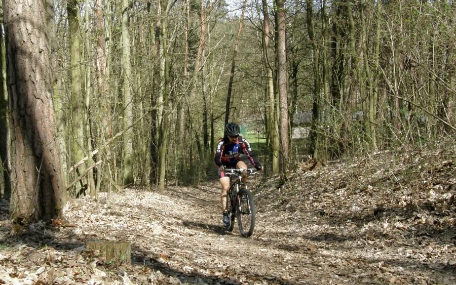 Podjazd do Ludwikowa
