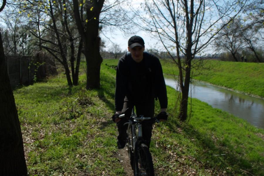 Marcin napiera