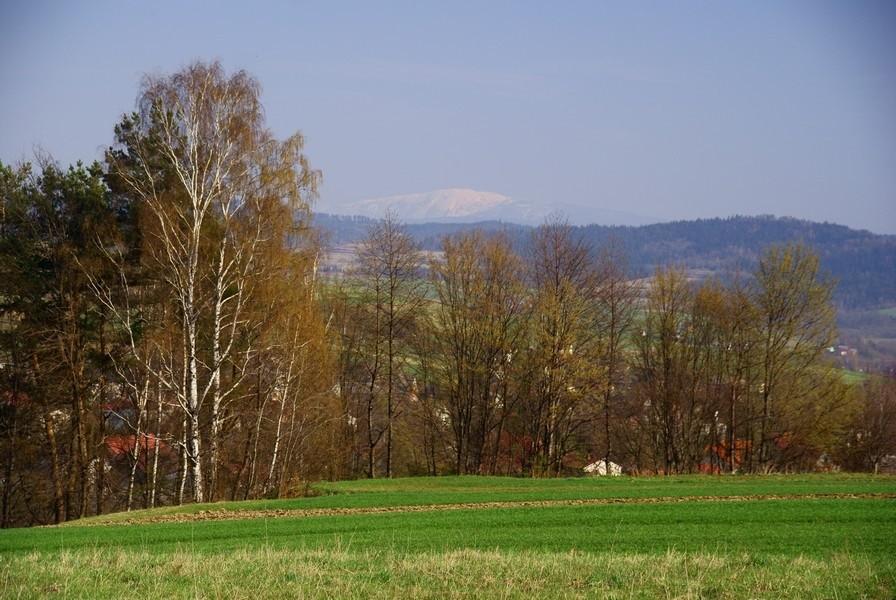 co też tam bieleje w dali