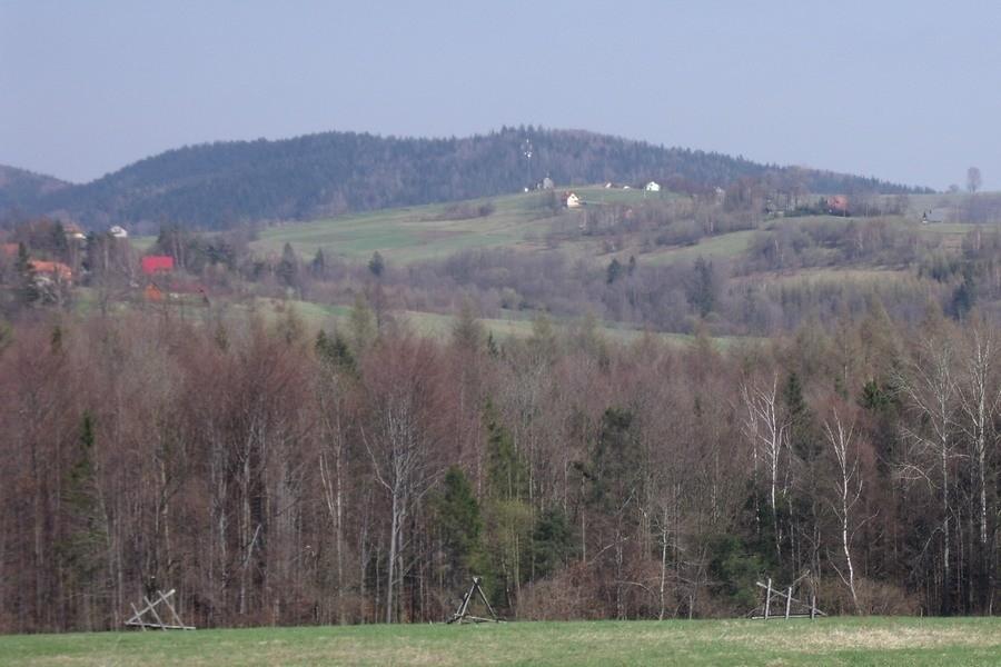 Widoczek