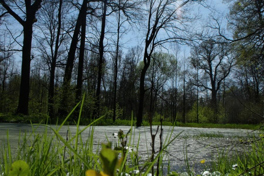 Bystrzyca, Park Krajobrazowy