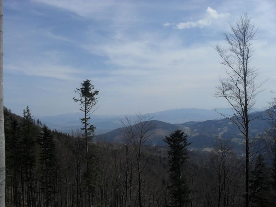 Babia Góra w oddali
