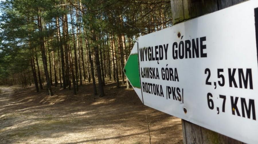 Wyględy Górne