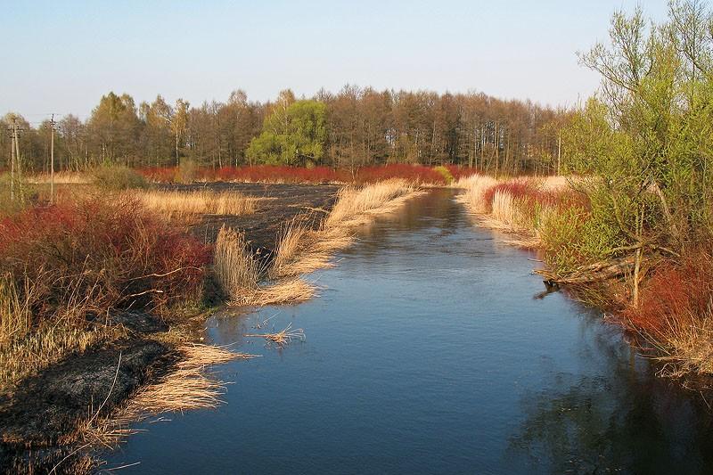 Rzeka