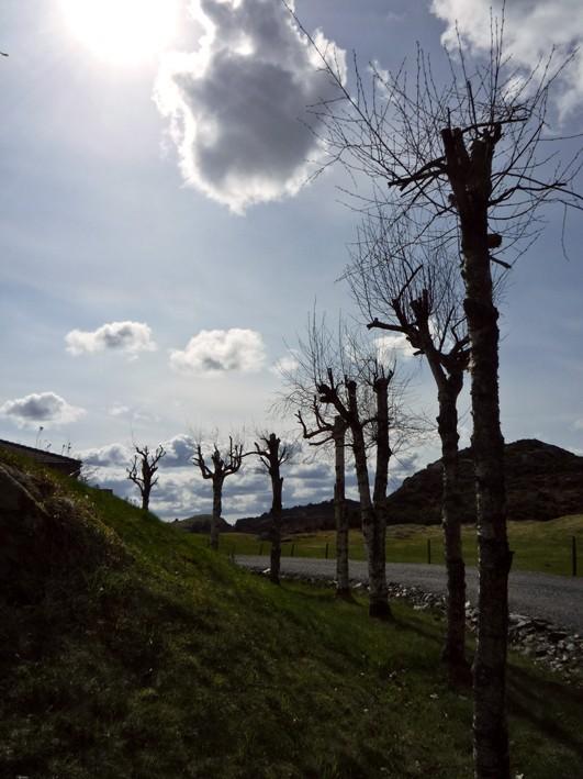 Okolice Førland