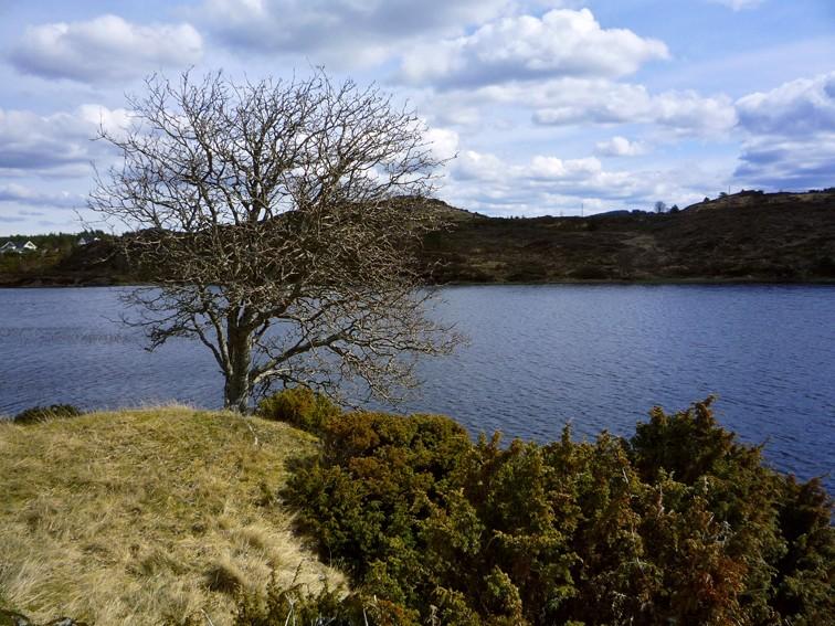 Førlandsvatnet