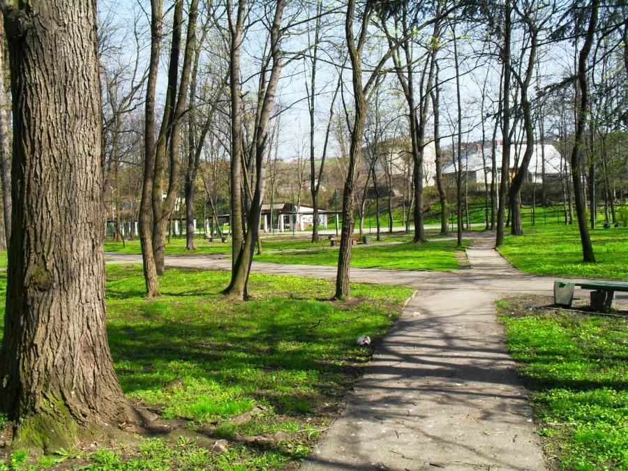 Park w Grybowie