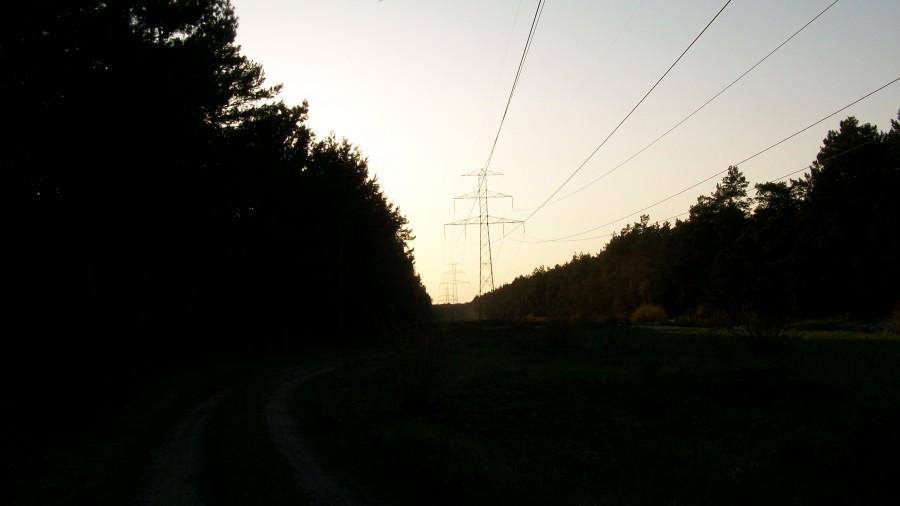 ścieżka rowerowa do lasu
