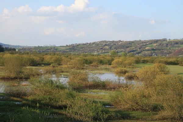Jezioro Rożnowskie