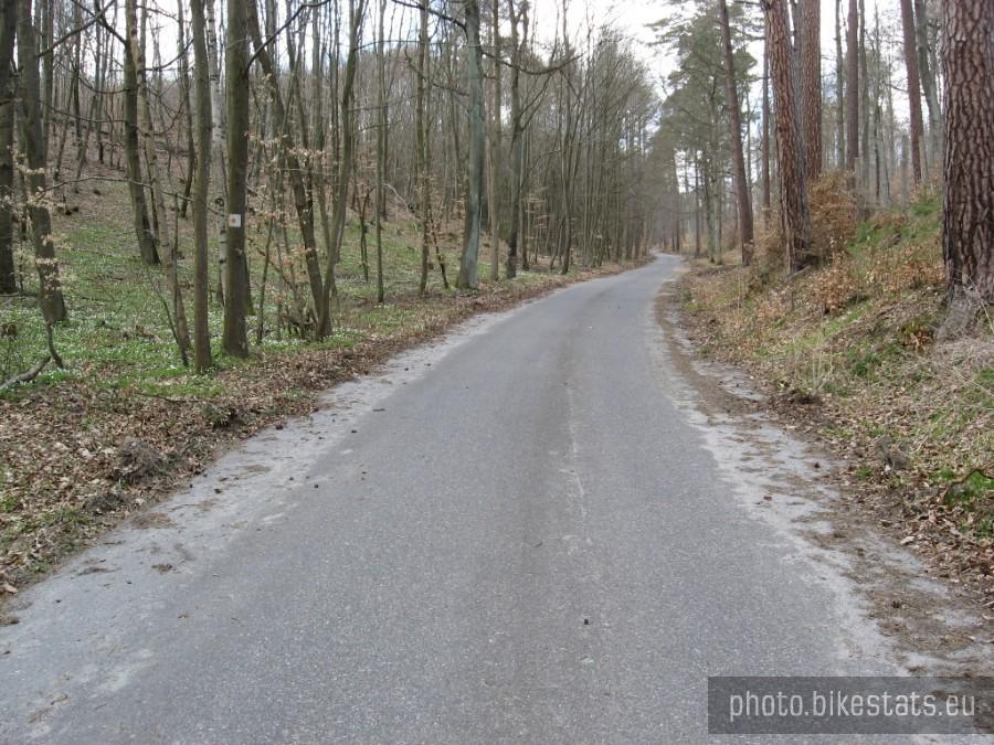 podjazd do Gołębiewa