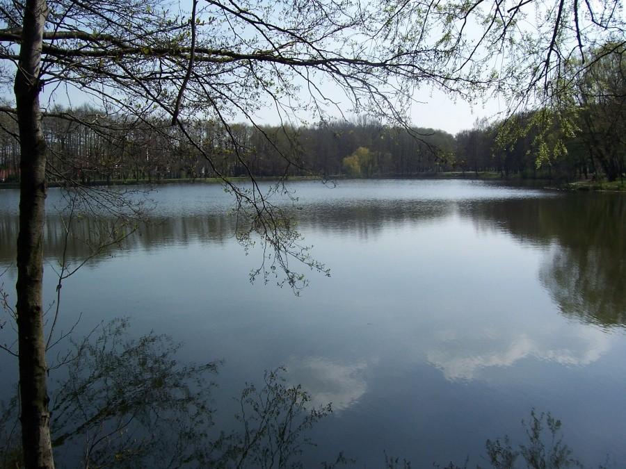 park