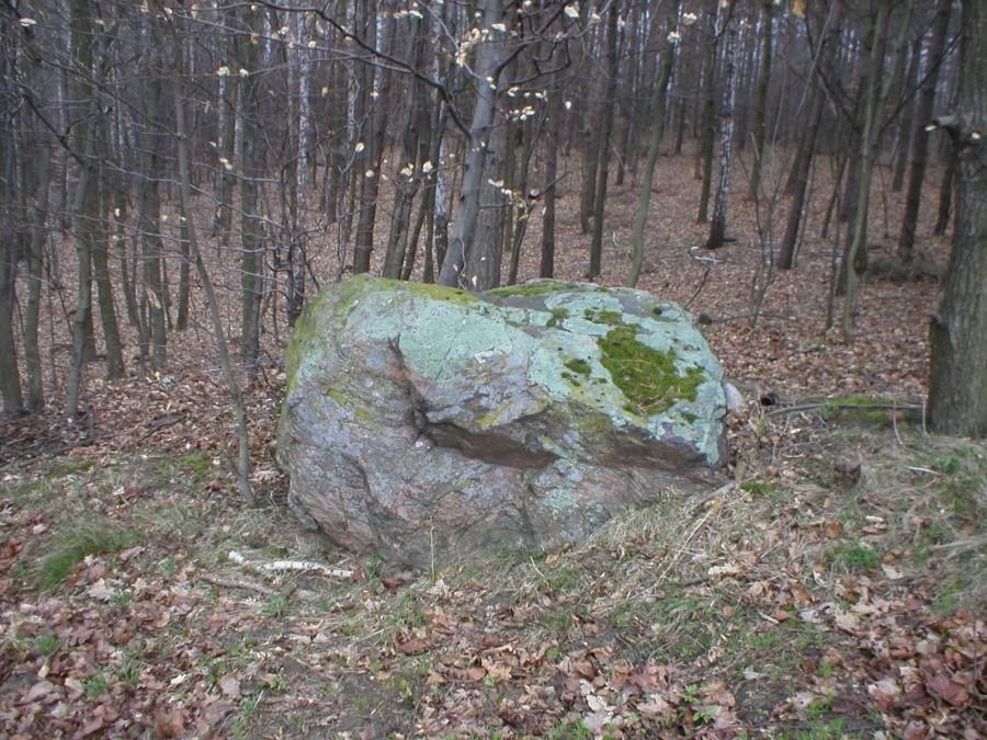 OKOLICE PRÓCHNIKA-GŁAZ NARZUTOWY,,Gross Stein''