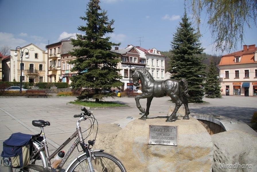 pomnik konia