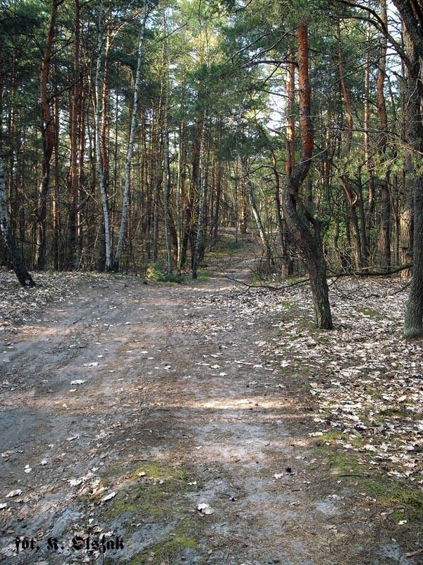 MPK, w okolicach Wesołej
