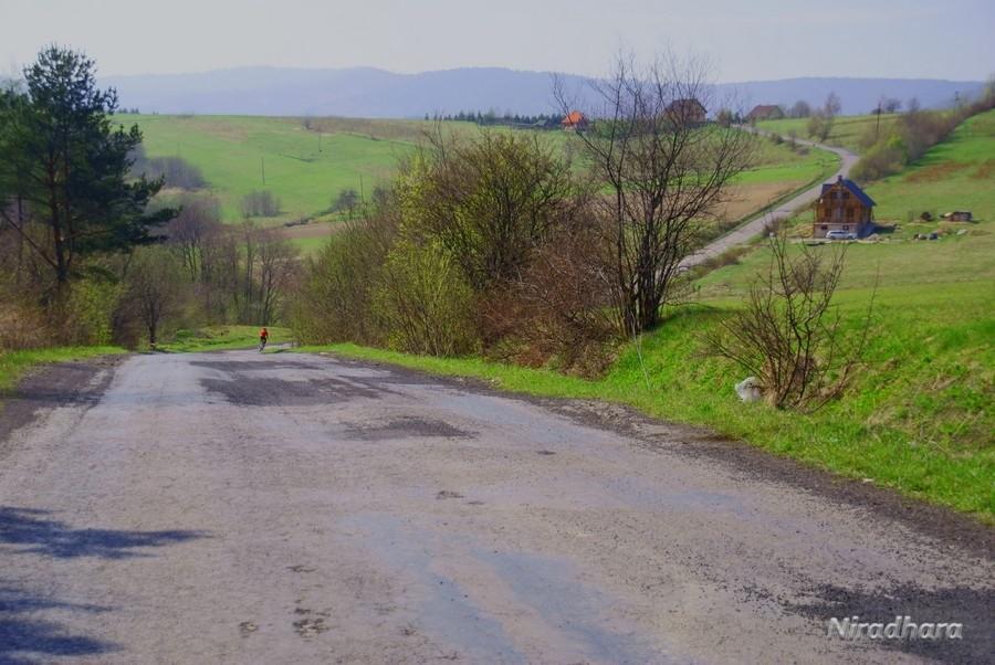 Górki Krzeszowskie