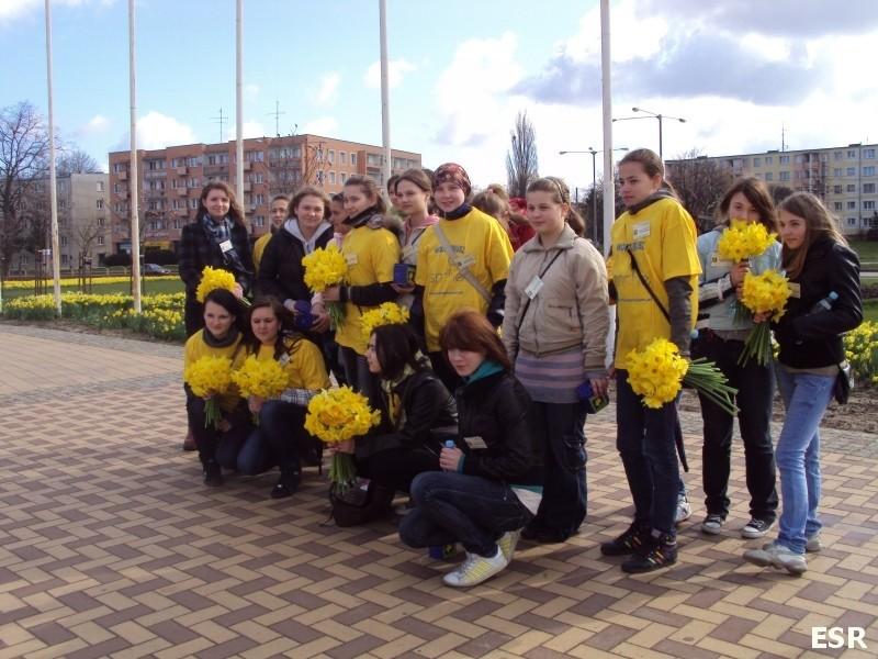 Żonkilowa grupa.
