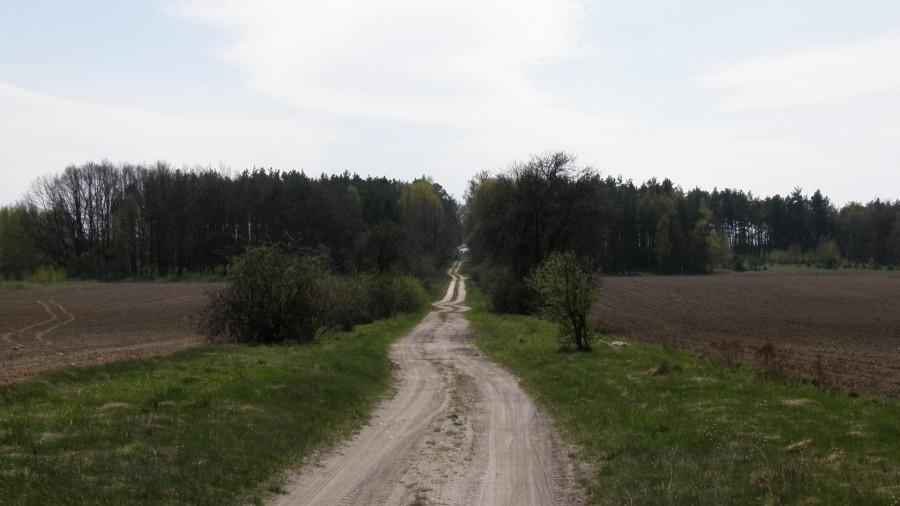 Przez teren ...