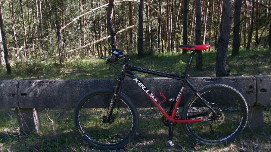 W drodze powrotnej