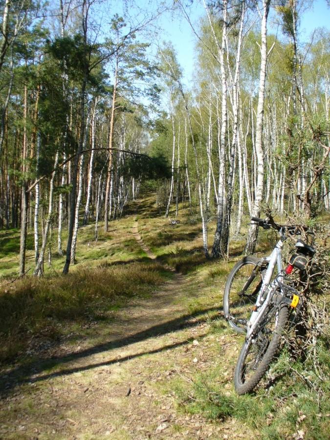 Singletrack