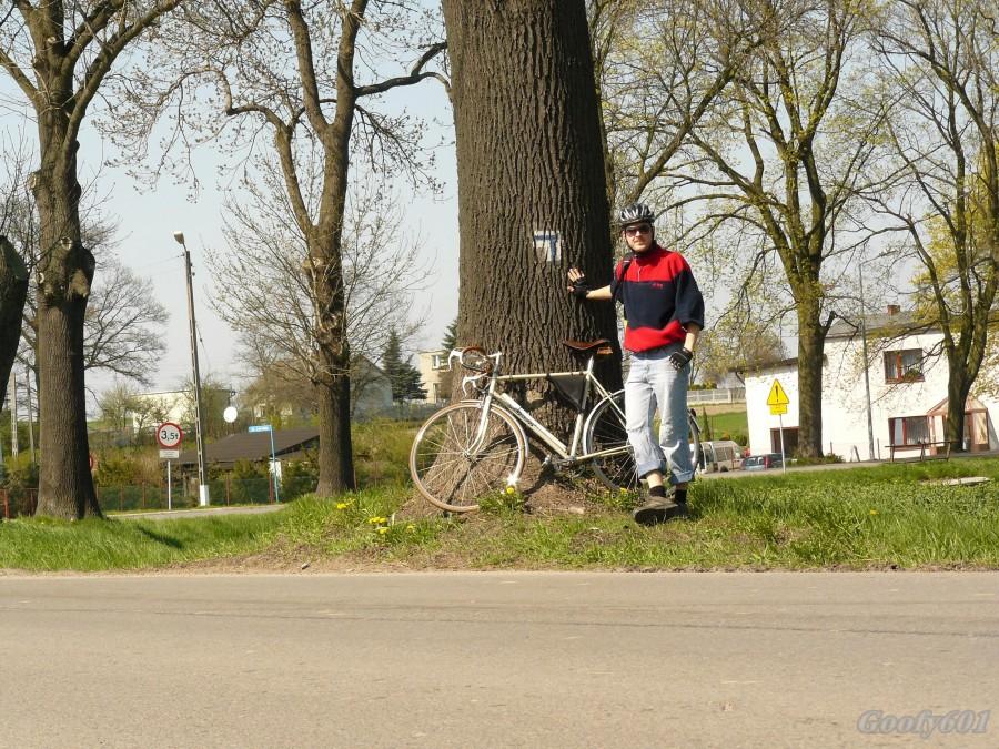 Gdzieś na trasie :)