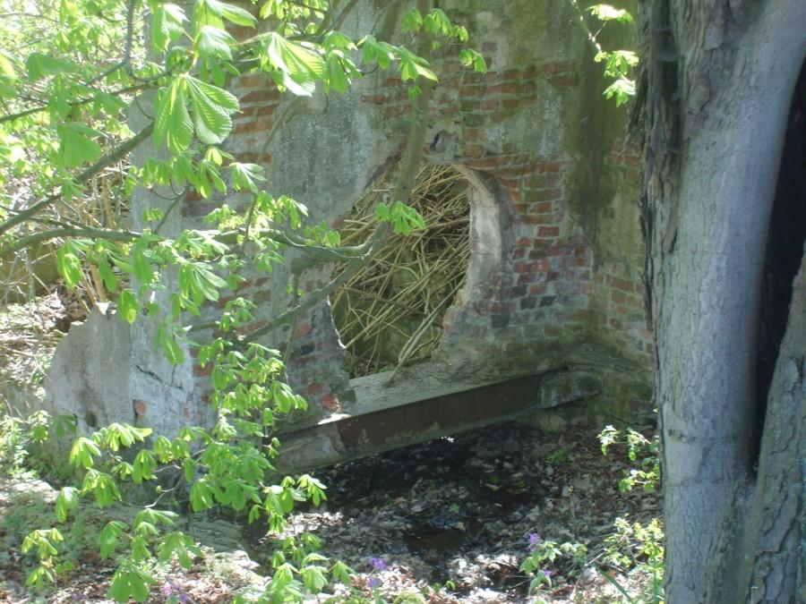 To co pozostało po młynie wodnym.Żarnowiec 2010.