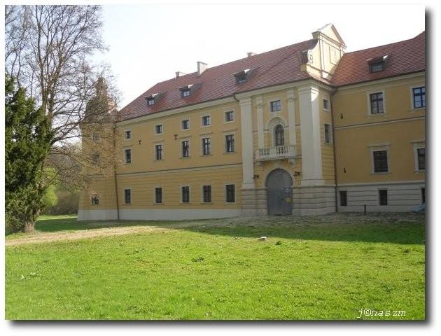 Fragment pałacu w Rudach Raciborskich
