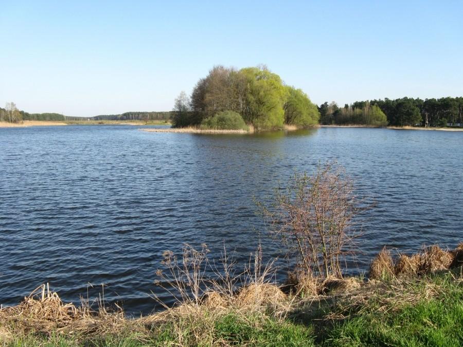 Zielona