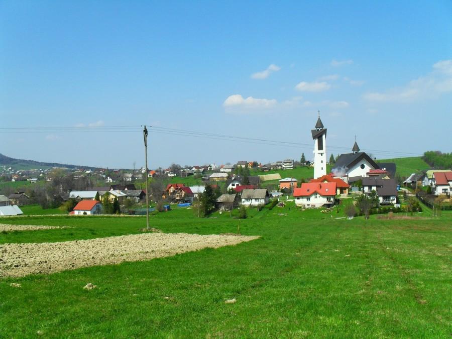 Ptaszkowa