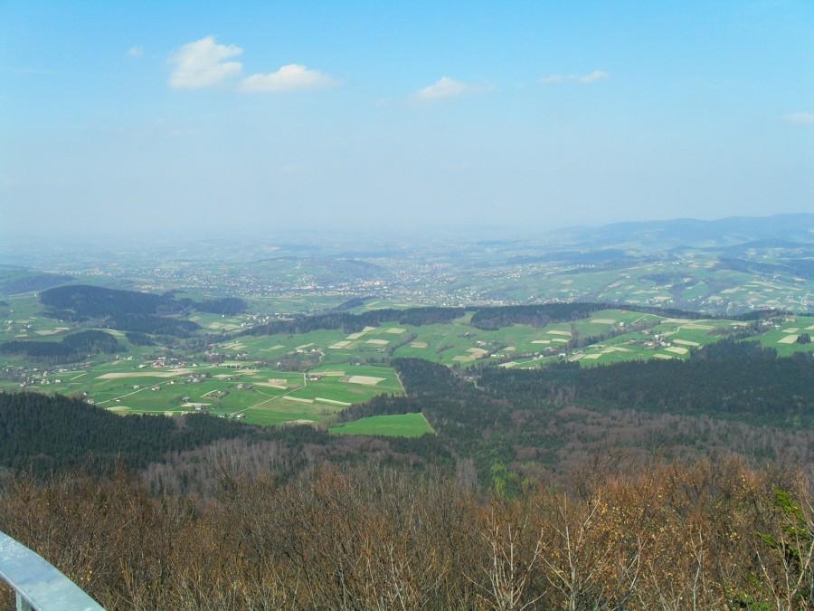 Widok z wierzy