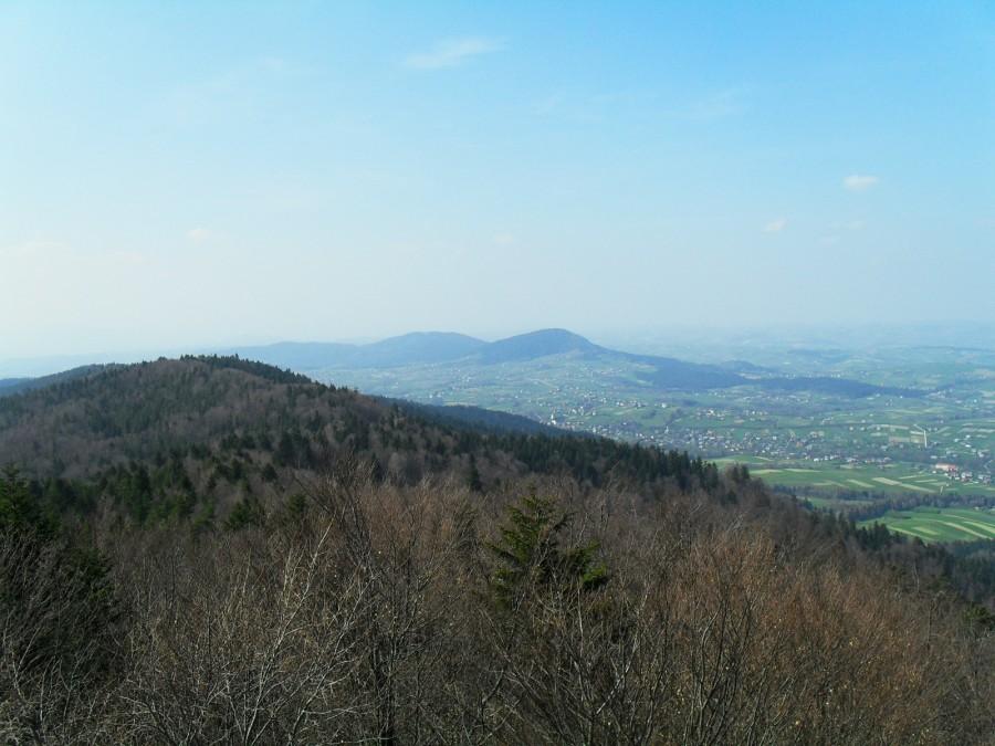 Widok z wierzy